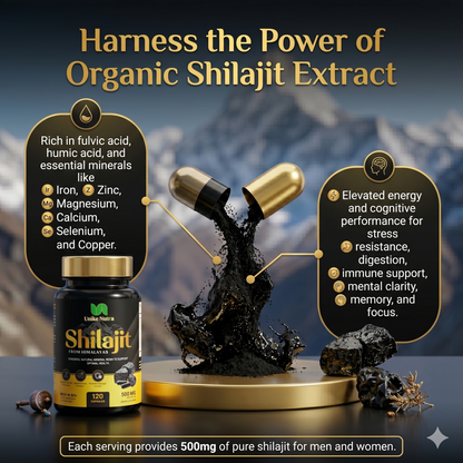 Himalayan Shilajit Capsules – Traditional Mineral Resin for Vitality