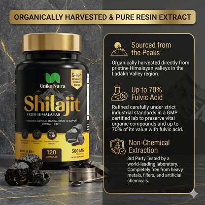 Himalayan Shilajit Capsules – Traditional Mineral Resin for Vitality