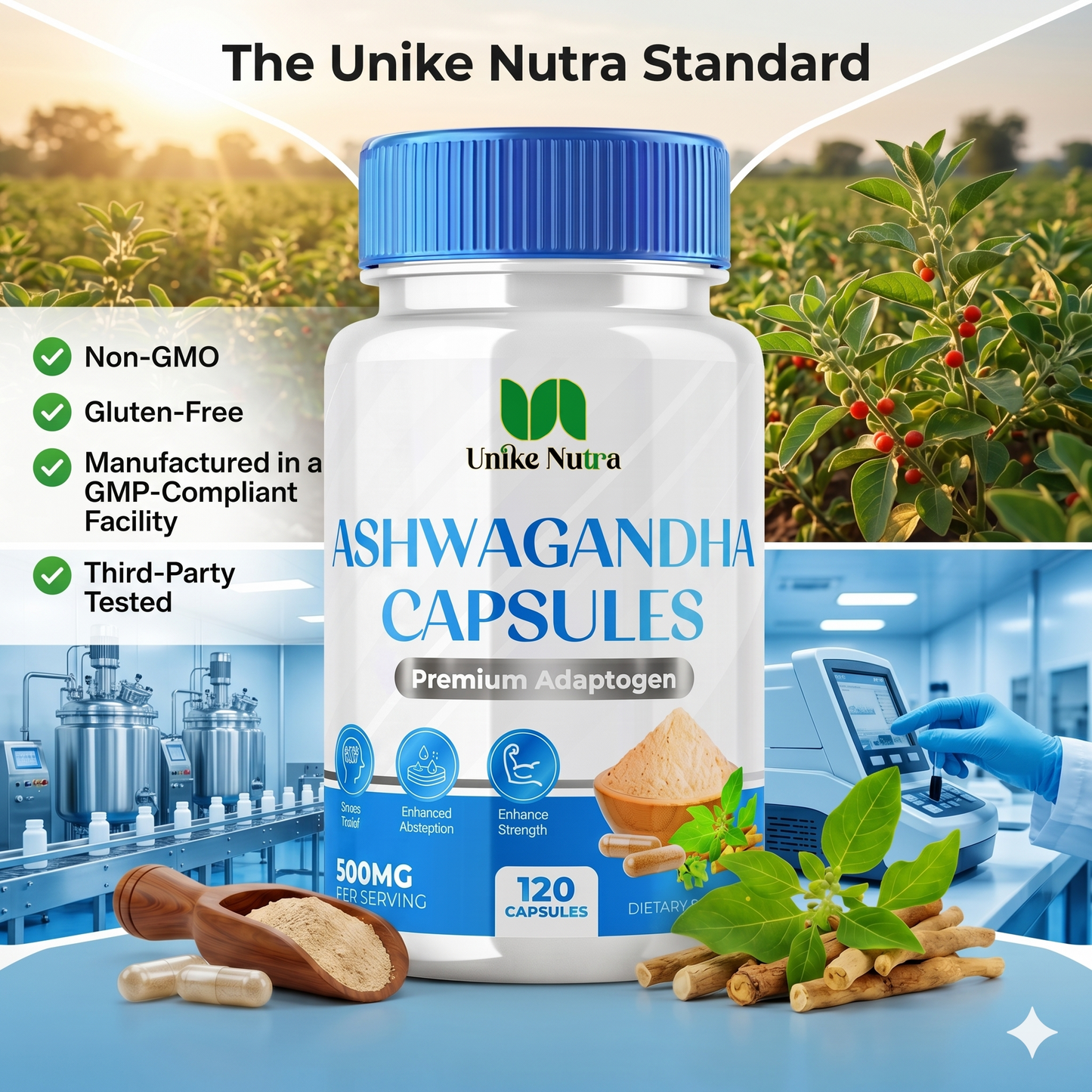 Ashwagandha Capsules – Herbal Adaptogen for Stress & Daily Balance